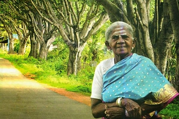 Planting a Legacy: The Extraordinary Journey of Saalumarada Thimmakka -  Unemployers
